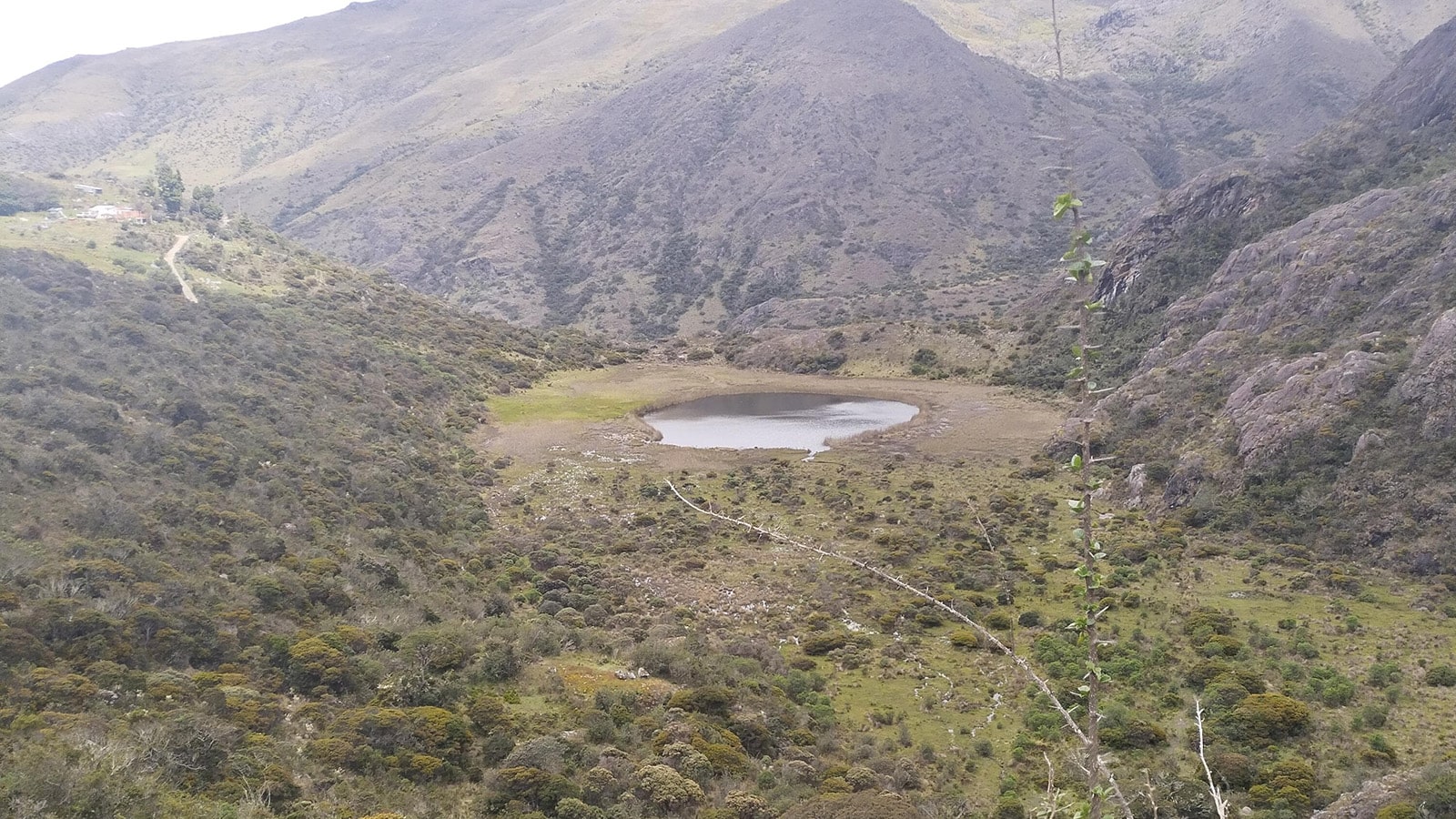 Laguna Pajarito Páramo de Santurbán